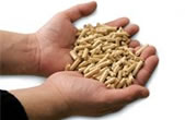 Holzpellets
